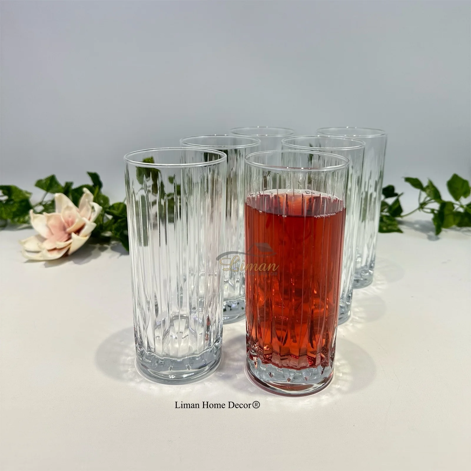 Bricard Eve Longdrinkglazen 6 Delig