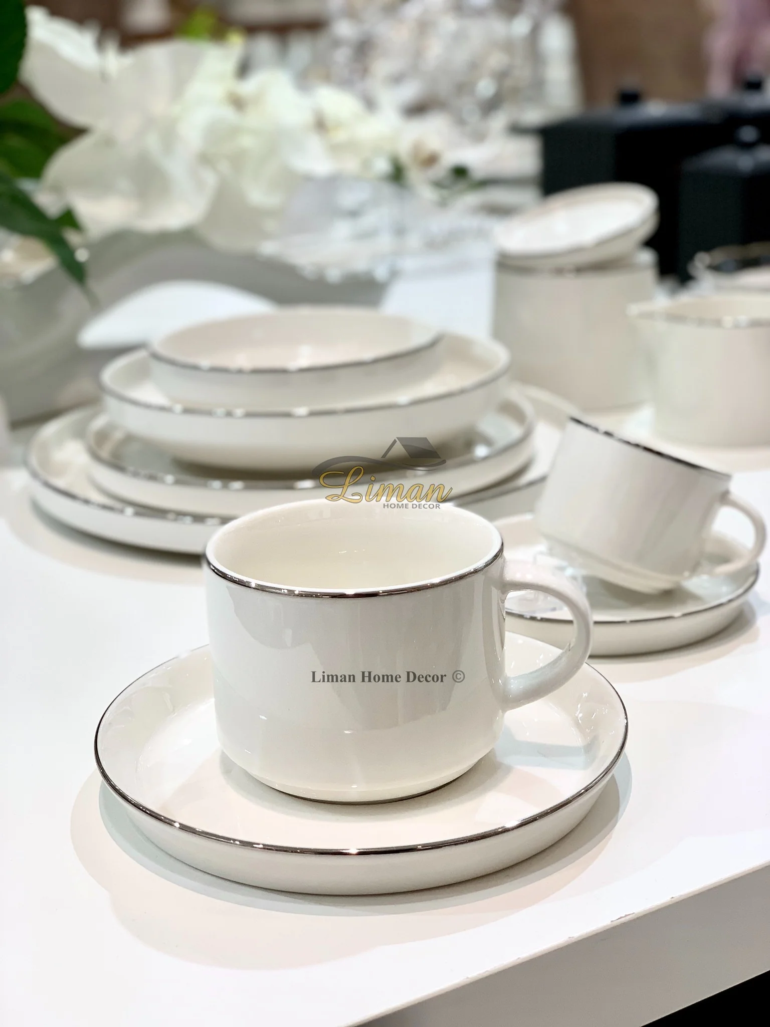 Bricard Lunel Koffie & Teaset 12 Delig Zilver